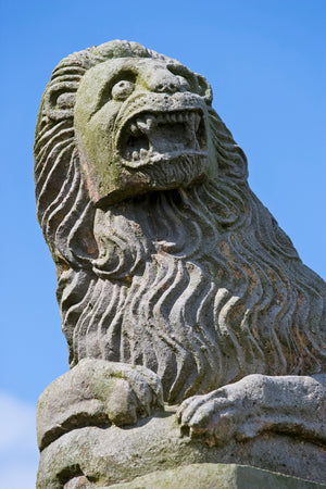 Berwick Upon Tweed - Absolute Beginners Photography Workshop - 17th May 2026