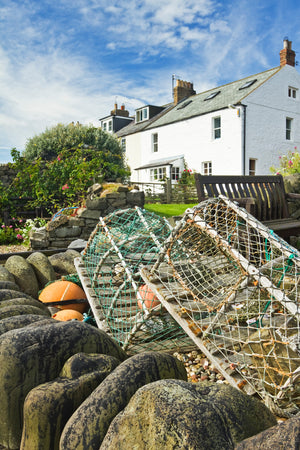 Dunstanburgh Castle and Coast - Absolute Beginners Photography Workshop - 27th September 2026