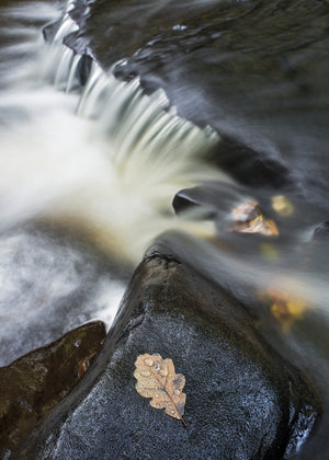 Hareshaw Linn & Bellingham - Northumberland Landscape Photography Workshop - 25th October 2026