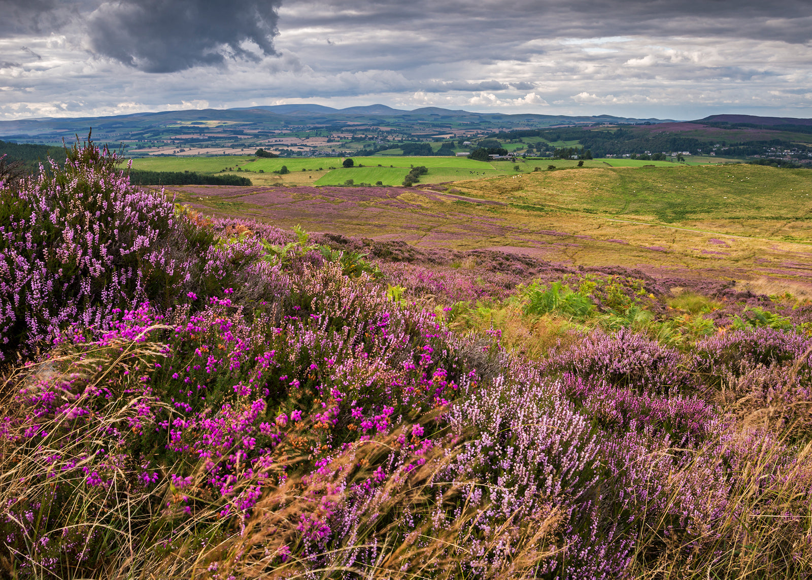 Lordenshaws & Dove Crag - Northumberland Landscape Photography Workshop - 16th August 2026