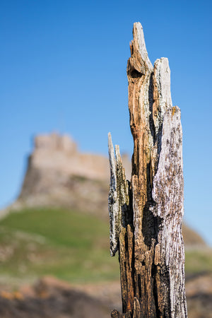 The Holy Island of Lindisfarne - Northumberland Landscape Photography Workshop - 28th February 2026