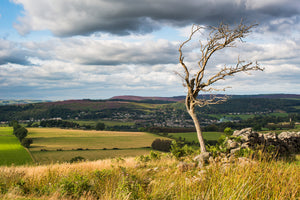 Lordenshaws & Dove Crag - Northumberland Landscape Photography Workshop - 16th August 2026
