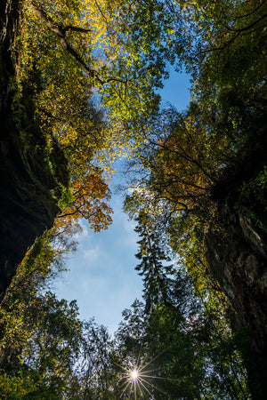 Hareshaw Linn & Bellingham - Northumberland Landscape Photography Workshop - 25th October 2026
