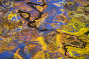 Bolam Lake & Shaftoe Crags - Northumberland Photography Workshop - 8th November 2026