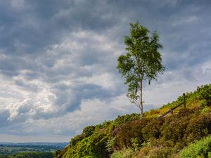 Bolam Lake & Shaftoe Crags - Northumberland Photography Workshop - 8th November 2026
