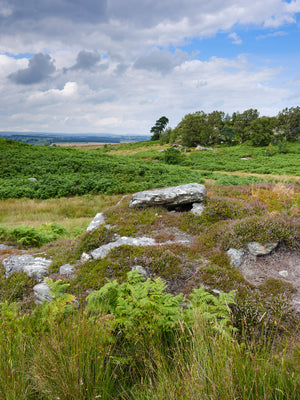 Bolam Lake & Shaftoe Crags - Northumberland Photography Workshop - 8th November 2026