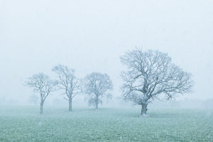 North-East England Wall Calendar