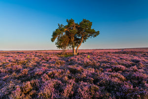 North Yorkshire Landscape Photography Tuition