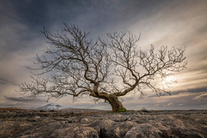 The Photography Circle – Learn, Create & Improve Your Photography Online