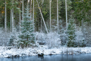 Northumberland 2026 Wall Calendar