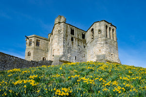 Northumberland 2026 Wall Calendar