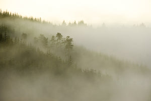 Northumberland 2026 Wall Calendar