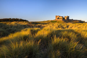Bamburgh Castle & Coast - Absolute Beginners Photography Workshop - 28th June 2026