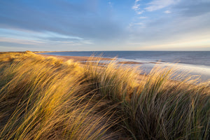 The Photography Circle – Learn, Create & Improve Your Photography Online