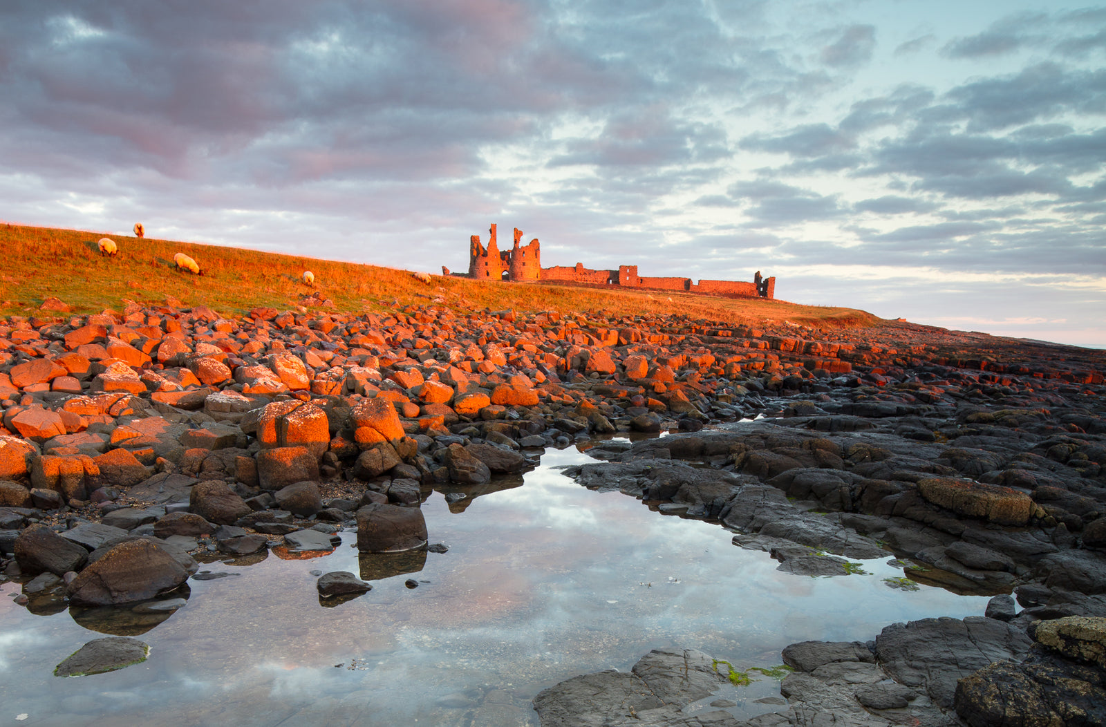 Dunstanburgh Castle and Coast - Absolute Beginners Photography Workshop - 27th September 2026