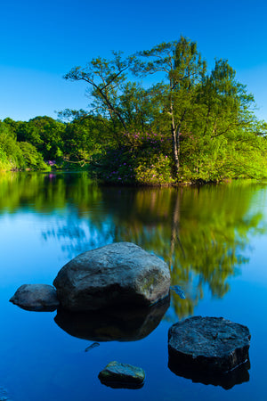 Bolam Lake & Shaftoe Crags - Northumberland Photography Workshop - 8th November 2026
