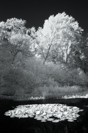 Bolam Lake & Shaftoe Crags - Northumberland Photography Workshop - 8th November 2026