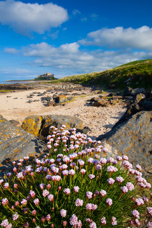 Bamburgh Castle & Coast - Absolute Beginners Photography Workshop - 28th June 2026