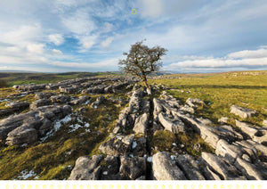 Yorkshire Dales & Coast 2026 Wall Calendar