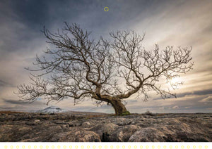 Yorkshire Dales & Coast 2026 Wall Calendar