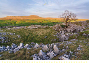 Yorkshire Dales & Coast 2026 Wall Calendar
