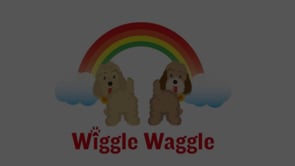 Business Video Production in Northumberland & Newcastle