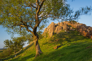 Hadrian’s Wall - Northumberland Landscape Photography Workshop - 12th July 2026