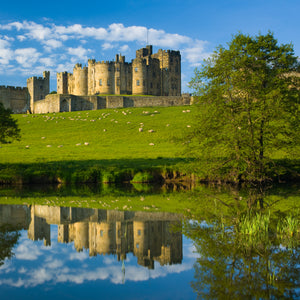 Northumberland Castles Greeting Cards (Pack of 6)