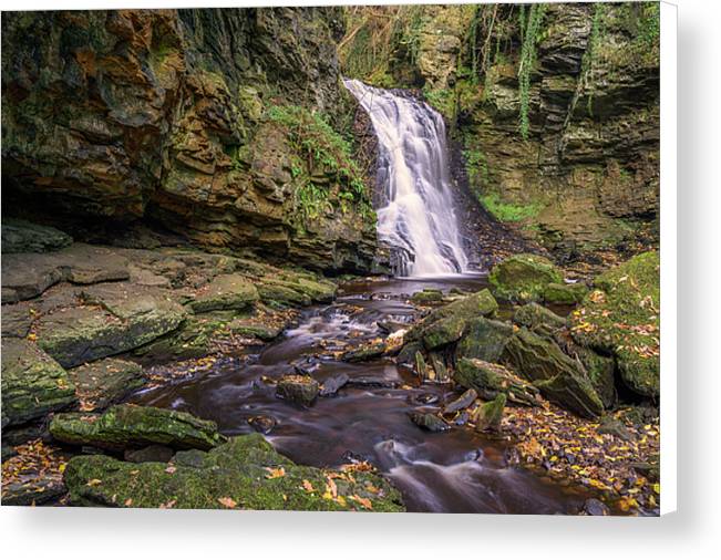 Hareshaw Linn, Northumberland Canvas Print
