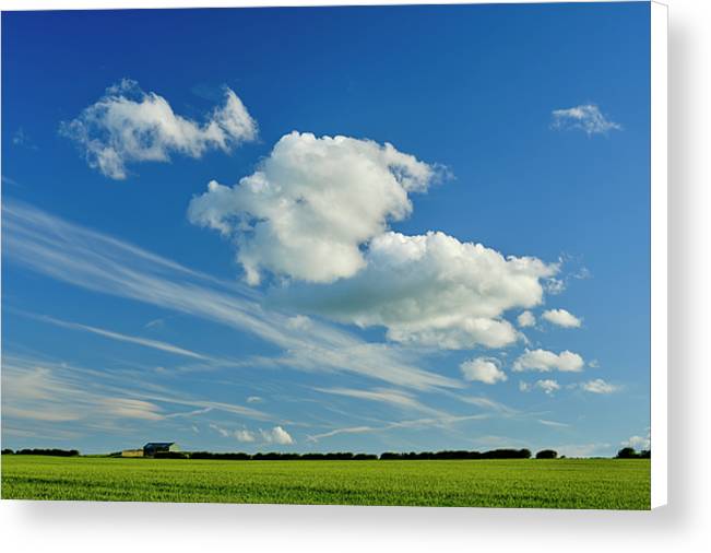 Summer Fields, Northumberland Canvas Print