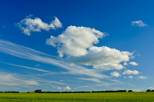 Summer Fields, Northumberland