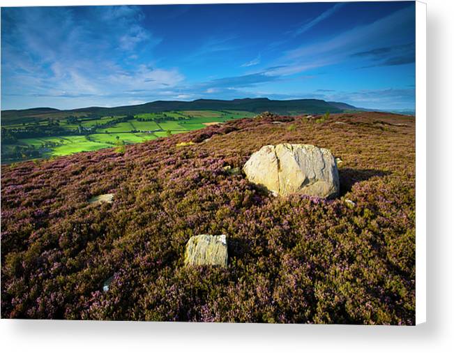 Rothbury Terraces, Northumberland Canvas Print