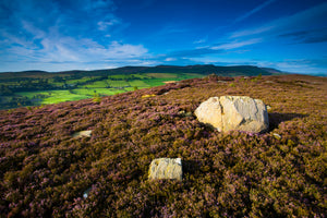 Rothbury Terraces, Northumberland