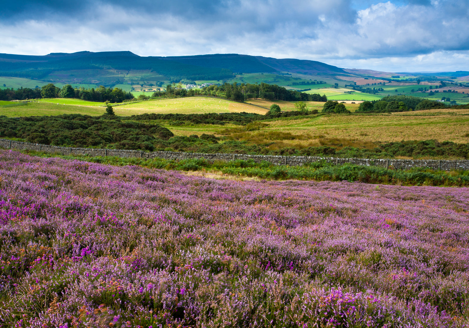 Rothbury Terraces, Northumberland, 1000 Piece Jigsaw Puzzle